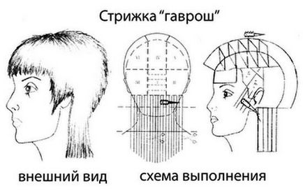 Жіноча стрижка гаврош для коротких, середніх і довгих волосся