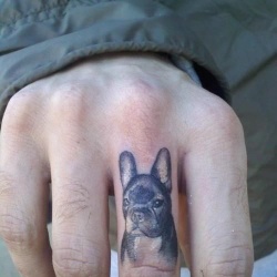 Înțelesul unui tatuaj Bulldog