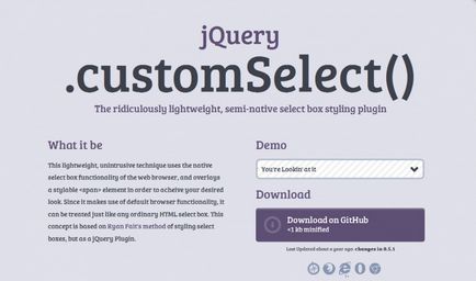 30 Jquery плагінів для стилізації елементів форм