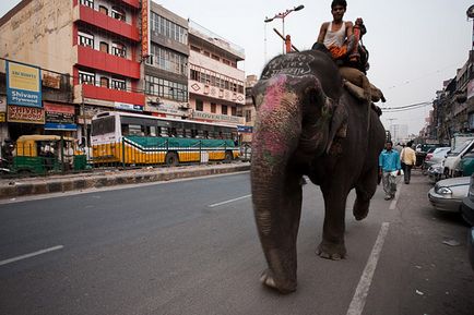 50 Fapte despre India cu ochii unui rus - un fapt