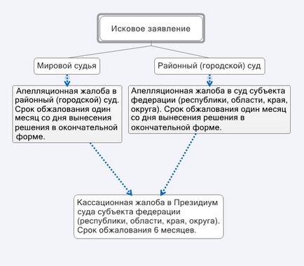 Апеляційна скарга на рішення районного арбітражного суду мирового судді