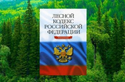 Оренда лісової ділянки як взяти землі лісового фонду в оренду, зразок типового договору і