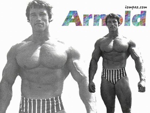 Arnold Alois Schwarzenegger, Jazz, nebunie