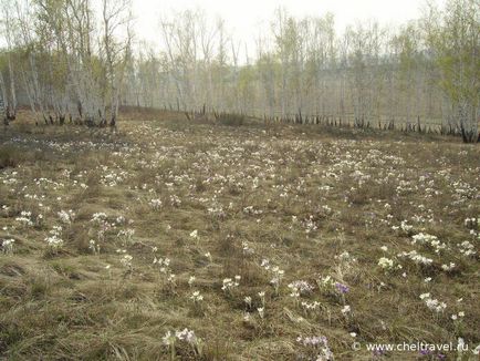 Аушкуль і ауштау - Ахуново - одноденне путешевствіе