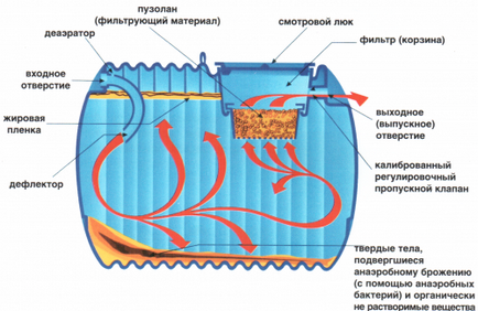 Bacterii pentru cisterne