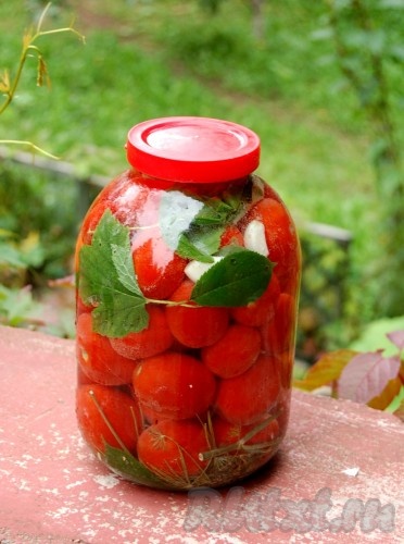 Швидкі мариновані помідори - рецепт з фото