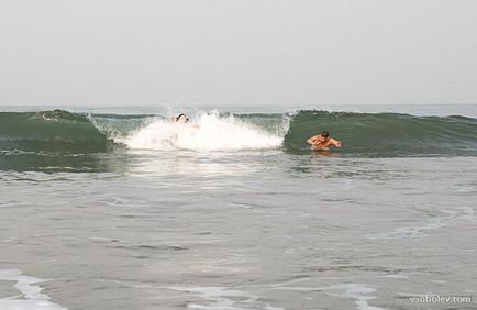 Body-surfing - proiectul autorului eva