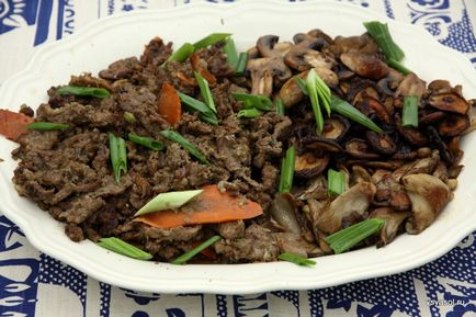 Bulgogi - întregul sare - blogul culinar de cultură olga