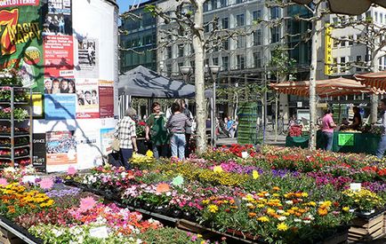 Zeil, Frankfurt pe Main