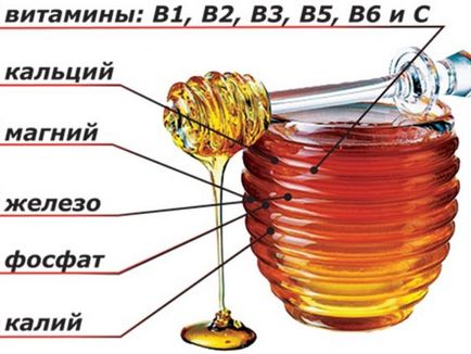 Ce este util pentru mierea de hrisca pentru proprietatile medicinale umane si contraindicatii