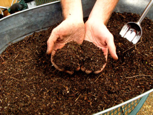 Ce este compostul, ce constă și cum se face corect?