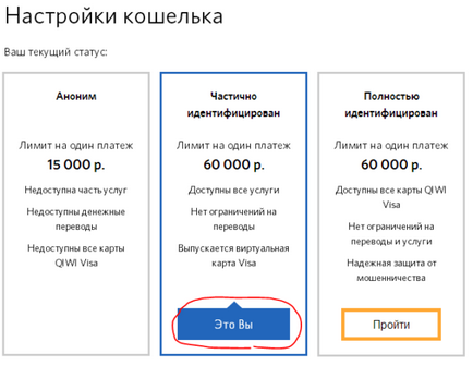 Care este identificarea completă a portofelului qiwi și cum pot să îl obțin online?