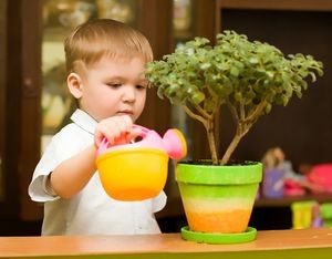 Квіти для дитячої кімнати вимоги до рослин, рейтинг кращих і гірших квітів