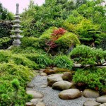 Квіти в японському саду - сакура, бересклет японський, сад мохів