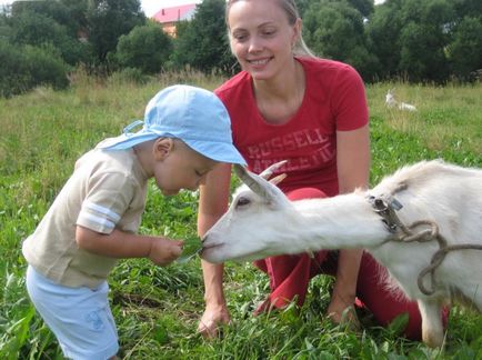 Сільські шкільні канікули відпустку в селі враження