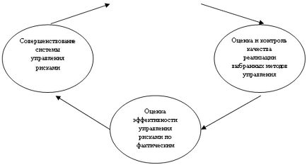 Diagnosticarea sistemului de management al riscului organizației, publicarea în revista 