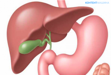 Diskinezia canalului biliar hiperkinetic și a vezicii urinare