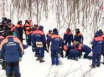 Домашня кішка задушила немовля в Нижньому Новгороді