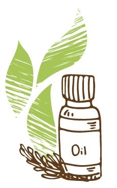 Ефірна олія ванілі властивості і застосування, oleos