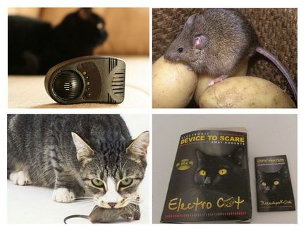 Elektrokot ultrahangos riasztó egereken és patkányokon