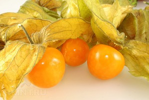 Physalis és tudja, hogyan kell tárolni