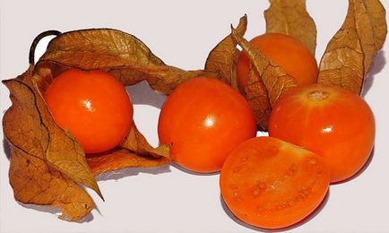 Physalis colectare, depozitare, proprietăți și aplicații, grădină