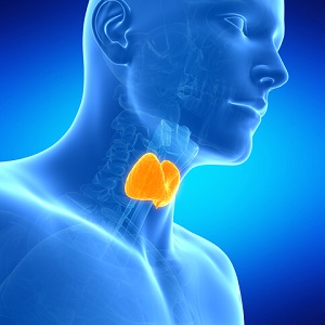 Фолікулярний рак щитовидної залози симптоми і лікування хвороби