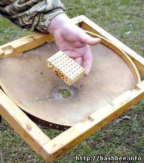 Forumul apicultorilor din Bashkortostan - revizuirea temei - stupii de casete