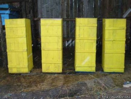 Forumul apicultorilor din Bashkortostan - revizuirea temei - stupii de casete