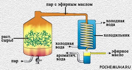 Къде поток - сапун - най-мръсните реки Отговорите на въпросите, отговорите на въпроси