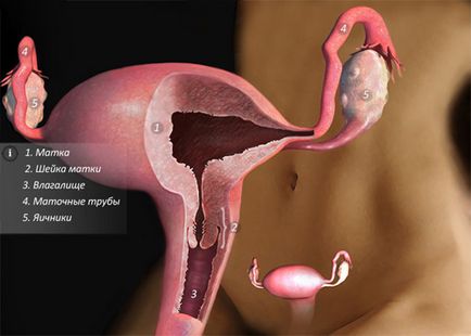Hidroturbarea - examinarea permeabilității tuburilor uterine