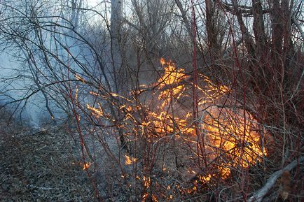 Граблями з річки воду тягати