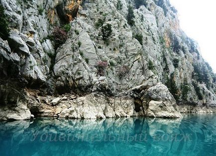 Canion verde (canion verde), voiaj cu Tatyana Vyotka