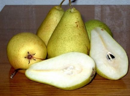 Pear Williams vara și roșu descrierea varietate, îngrijire, udare, pansament de top, tăiere