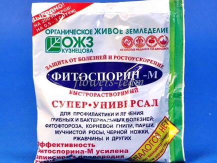 Інструкція по застосуванню Фітоспорін м як правильно розвести і обробити рослина, відгуки