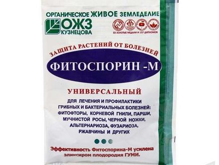 Інструкція по застосуванню Фітоспорін м як правильно розвести і обробити рослина, відгуки