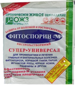 Інструкція по застосуванню Фітоспорін м як правильно розвести і обробити рослина, відгуки