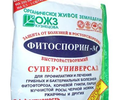 Інструкція по застосуванню Фітоспорін м як правильно розвести і обробити рослина, відгуки