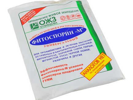 Інструкція по застосуванню Фітоспорін м як правильно розвести і обробити рослина, відгуки