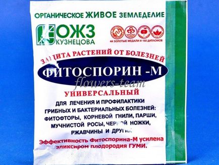 Інструкція по застосуванню Фітоспорін м як правильно розвести і обробити рослина, відгуки