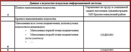 Instrucțiuni privind completarea - forma informațiilor despre sistemul de informații conectat la