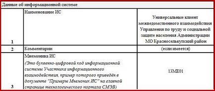 Instrucțiuni privind completarea - forma informațiilor despre sistemul de informații conectat la