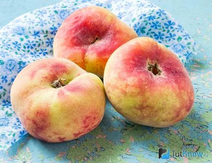 Barack: Peach készítmény, kalória, jó, receptek