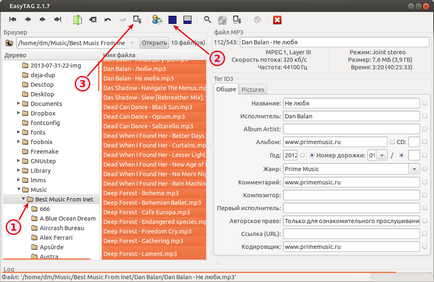 Corectați codificarea etichetelor în fișierele mp3 cu easytag, blog despre linux ubuntu