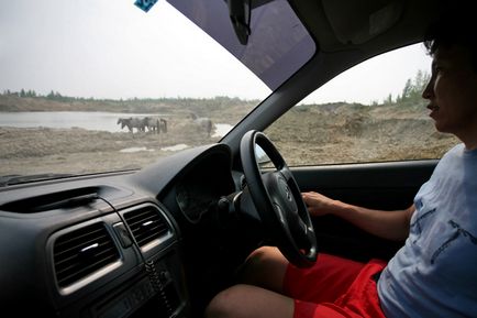 O sursă de boulouse sau o plimbare pe gheață în mijlocul unei veri fierbinți, călătorind