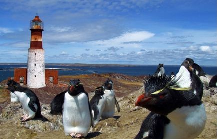 Cum să cuibărești pinguinii în Argentina - biblioteca turistică
