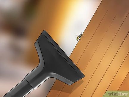 Cum să scapi de viespi