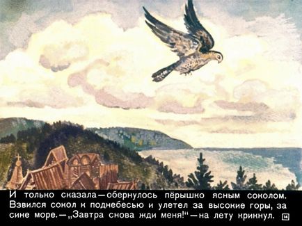 Hogyan kell felhívni Finest, a bátor Falcon szakaszok - hogyan kell felhívni a sólyom gouache gyermekeknek 5 éves kortól