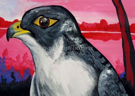 Hogyan kell felhívni Finest, a bátor Falcon szakaszok - hogyan kell felhívni a sólyom gouache gyermekeknek 5 éves kortól