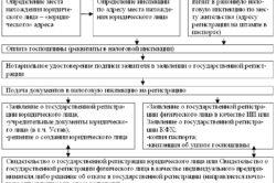 Як здійснюється перереєстрація ип в інші форми ооо, СФГ